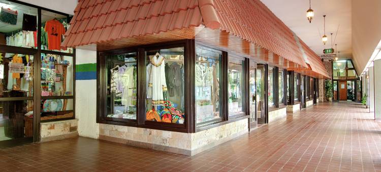 亚的斯亚贝巴希尔顿酒店(Hilton Addis Ababa)图片