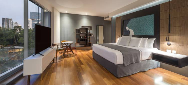 瓜达拉哈拉普罗维登西亚NH典藏酒店(NH Collection Guadalajara Providencia)图片