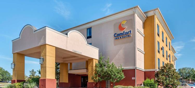 舒适酒店及套房(Comfort Inn & Suites)图片