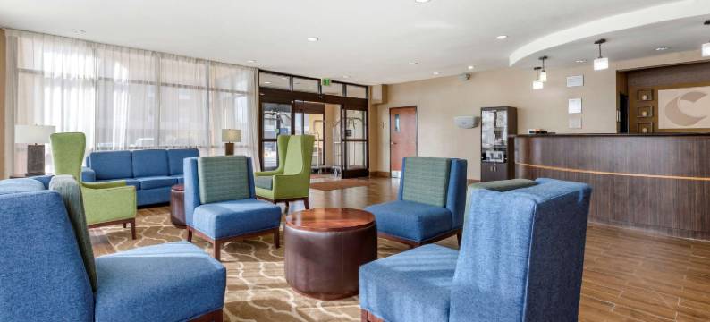 霍布斯舒适全套房酒店(Comfort Suites)图片