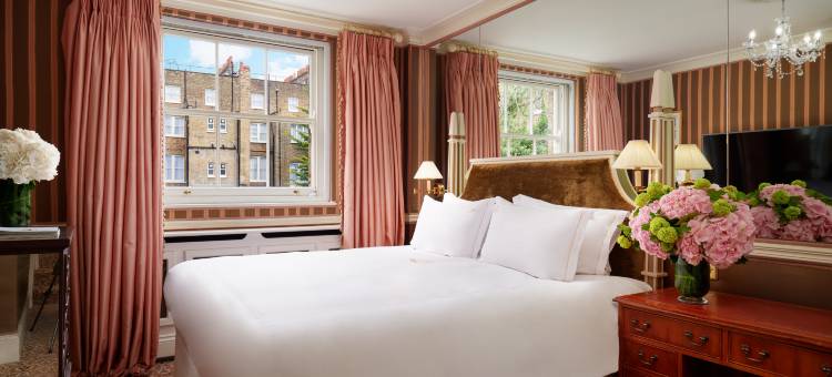 蒙塔古花园饭店(The Montague on the Gardens)图片