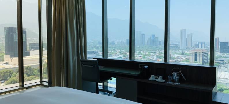 卡米诺里尔蒙特雷时尚大道酒店(Camino Real Fashion Drive Monterrey)图片