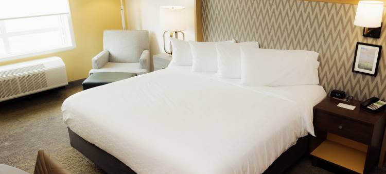 霍普金斯维尔会议中心假日套房酒店(Holiday Inn & Suites Hopkinsville - Convention Ctr)图片