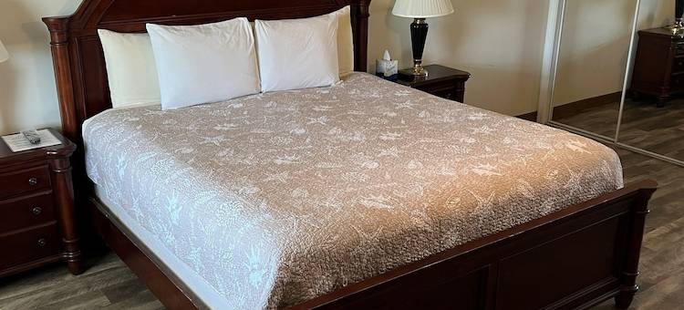 岸上长住型套房(Shore Stay Suites)图片