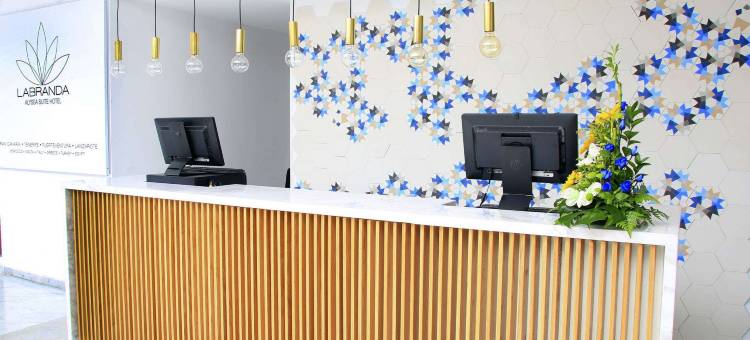 拉布兰达阿利萨套房酒店(Labranda Alyssa Suite Hotel)图片