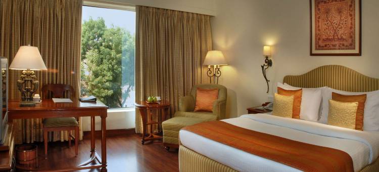 焦特布尔丽亭酒店(Park Plaza Jodhpur)图片