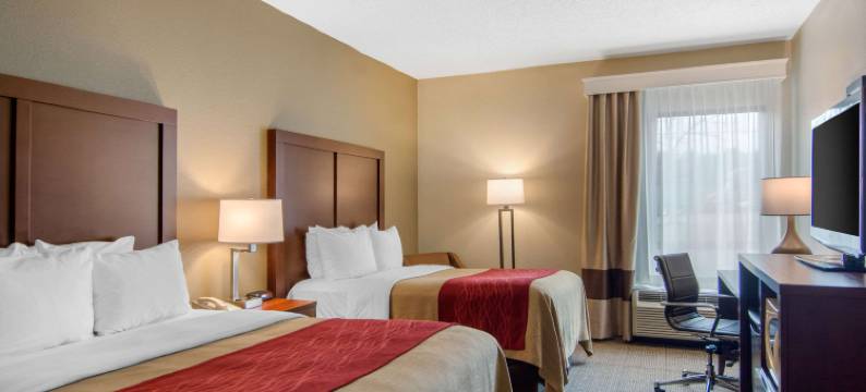 里士满南切斯特舒适酒店(Comfort Inn Chester - Richmond South)图片