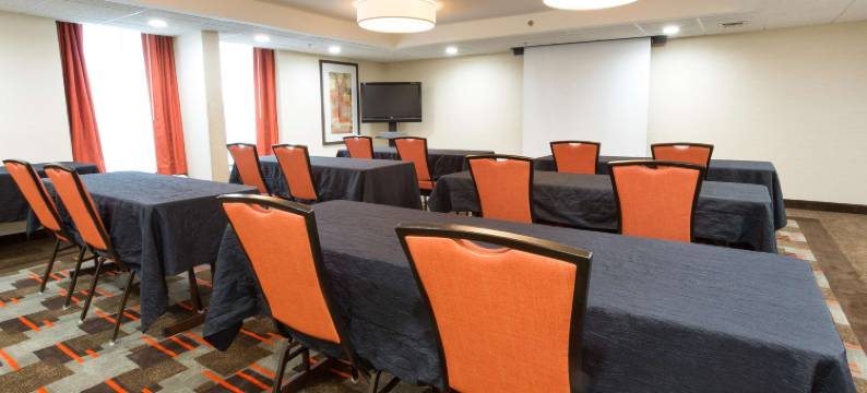 乔普林德鲁里套房酒店(Drury Inn & Suites Joplin)图片