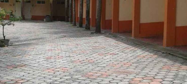 策德瓦斯酒店(Hotel Cendrawasih)图片