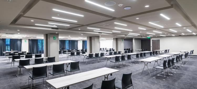 拉斯洛马斯莫维奇酒店(Movich Hotel Las Lomas)图片
