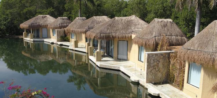 TRS尤卡坦酒店-限成人入住-全包(TRS Yucatan Hotel - Adults Only)图片