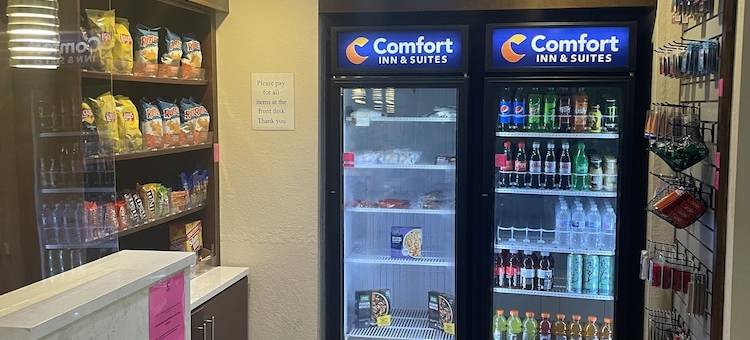 萨拉索塔 I75 舒适套房酒店(Comfort Inn & Suites Sarasota I75)图片