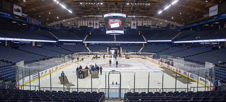 芝加哥奥黑尔机场舒适套房酒店(Comfort Suites Chicago O'Hare Airport)图片