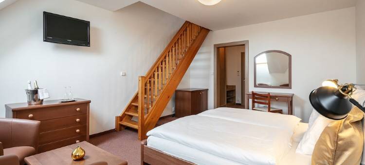 哈西斯泰因派特隆疗养酒店(Pytloun Wellness Hotel Hasištejn)图片