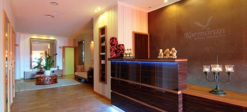 柯尔莫蓝健康水疗酒店(Kormoran Wellness Medical Spa)图片