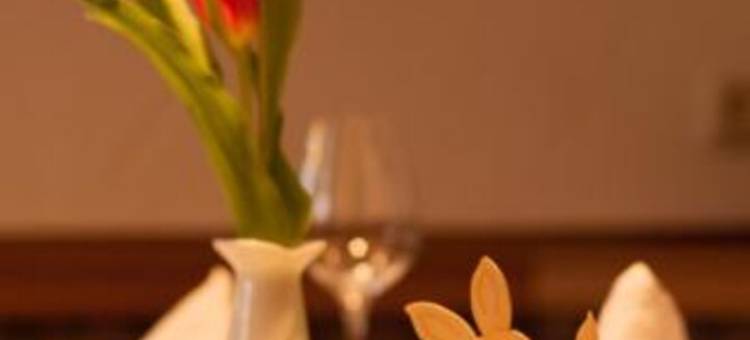 高登安卡酒店(Hotel Goldner Anker)图片