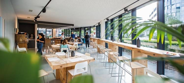 苏黎世旗帜酒店(The Flag Zürich)图片