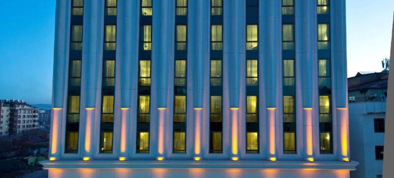 世界精英凡城酒店(Elite World Van)图片