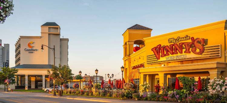 尼亚加拉瀑布舒适酒店(Comfort Inn Fallsview)图片