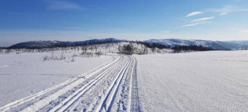 Cabin Magic on Senja, Atmosphere Like a Fairytale图片