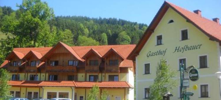 霍夫鲍尔宾馆(Gasthof Hofbauer)图片