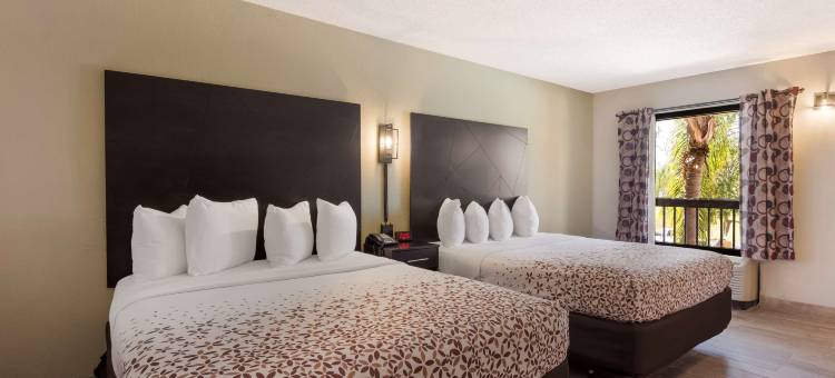 SureStay Hotel by Best Western St. Pete Clearwater Airport图片