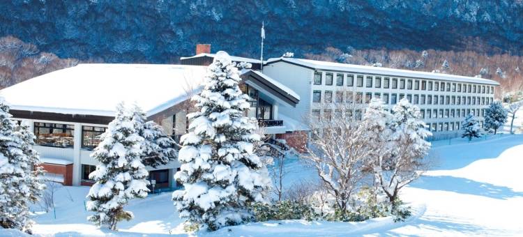 志贺高原王子大酒店(Shigakogen Prince Hotel)图片
