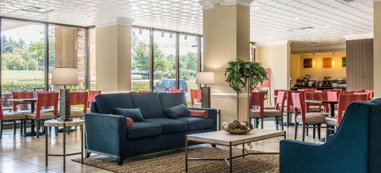 舒适酒店-克兰伯里镇游乐园(Comfort Inn Cranberry Twp)图片