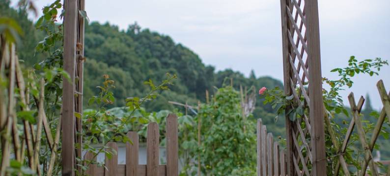 兜ly公寓(河西路分店)图片