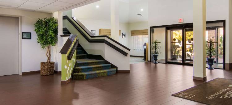 亚特兰大桃树市舒眠酒店(Sleep Inn Peachtree City - Atlanta)图片