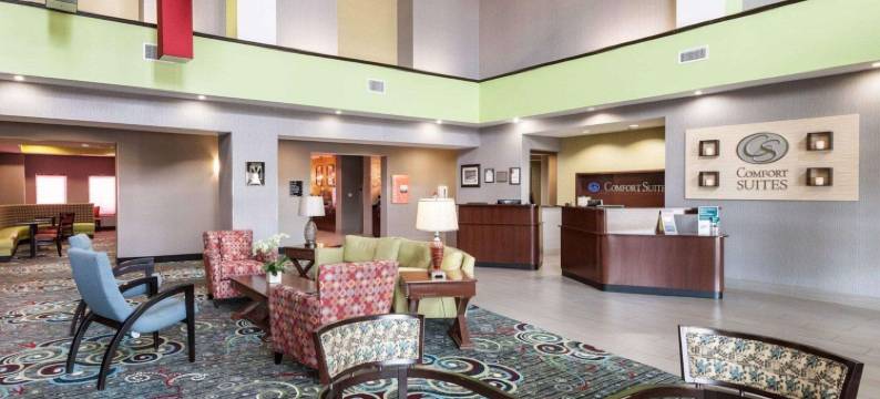 格林维尔舒适套房酒店(Comfort Suites Greenville)图片