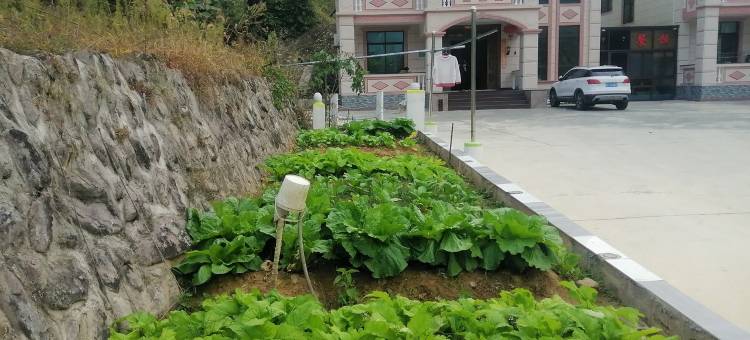 靖安特色鱼莊度假别墅(三爪仑街分店)图片