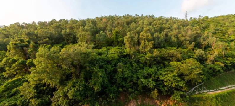 Nic小屋(凤凰路2号分店)图片