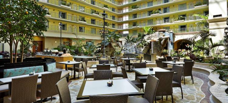 劳德代尔堡第 17 街希尔顿安泊酒店(Embassy Suites by Hilton Fort Lauderdale 17th Street)图片