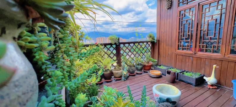 鱼的garden民宿(走马河西路下段分店)图片