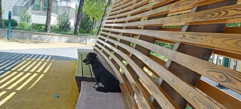 希卡民宿(和平路分店)图片