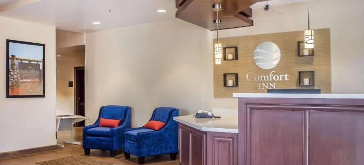 舒适酒店-费拉格尔斯塔夫幸运巷I-40(Comfort Inn Flagstaff Lucky Lane I-40)图片