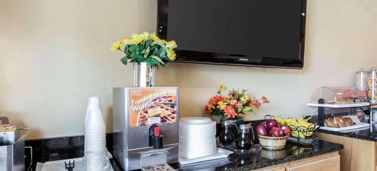 伊克诺套房旅馆(Econo Lodge Inn & Suites)图片