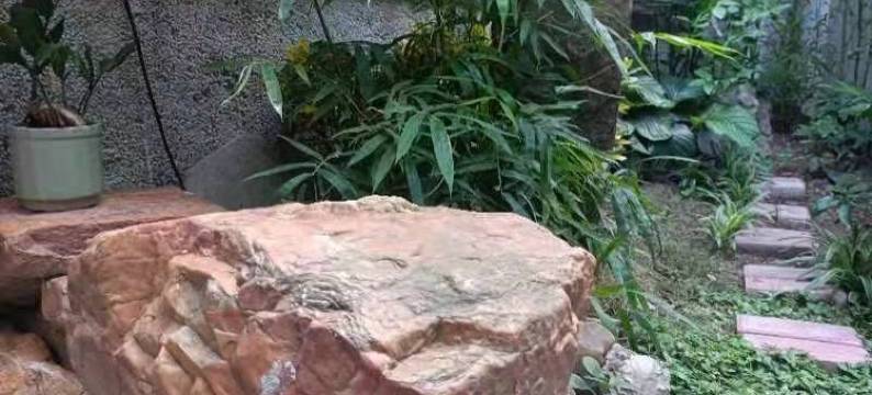 西河民宿(三利街分店)图片