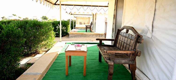 Sunny Desert Camp图片