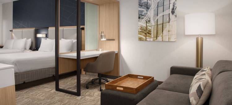 北查尔斯顿万豪SpringHill套房酒店(SpringHill Suites Charleston Airport & Convention Center)图片