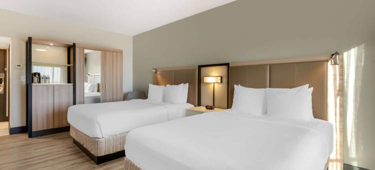 亚特兰大机场东贝斯特韦斯特优质酒店(Best Western Plus Atlanta Airport-East)图片