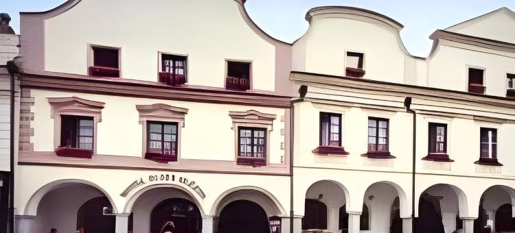 黄金之星酒店(Hotel Zlatá hvězda)图片