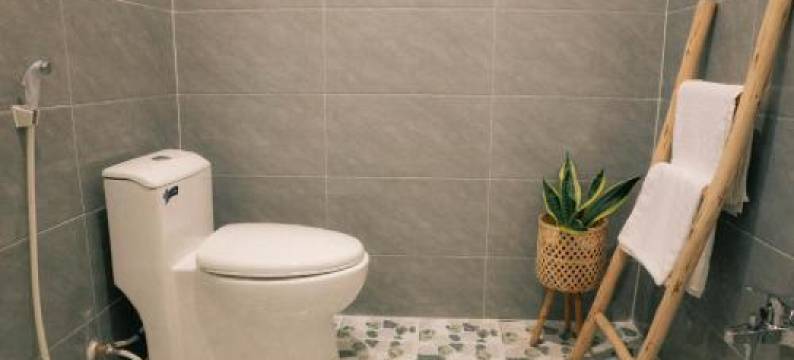 Phong Mo - Nha Mo Homestay Ben Tre图片