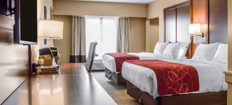 舒适套房酒店-曼海姆兰开斯特(Comfort Suites Manheim - Lancaster)图片