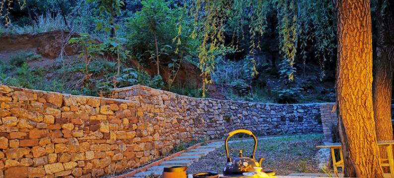 青龙山庄青龙墅民宿(彩西路3号分店)图片