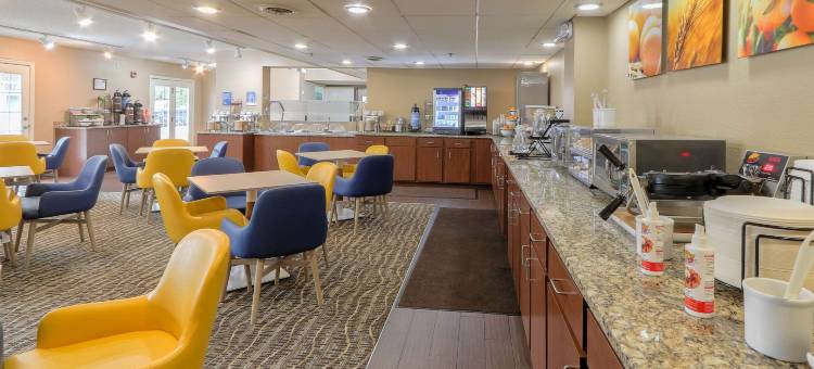 多利伍德街舒适酒店(Comfort Inn & Suites at Dollywood Lane)图片