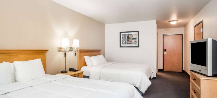 印第安纳波利斯东北温德姆呗盟酒店(Baymont by Wyndham Indianapolis Northeast)图片