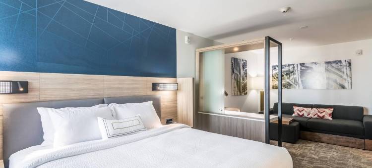 俄克拉何马城中心/ 布里克顿SpringHill Suites酒店(SpringHill Suites Oklahoma City Downtown/Bricktown)图片