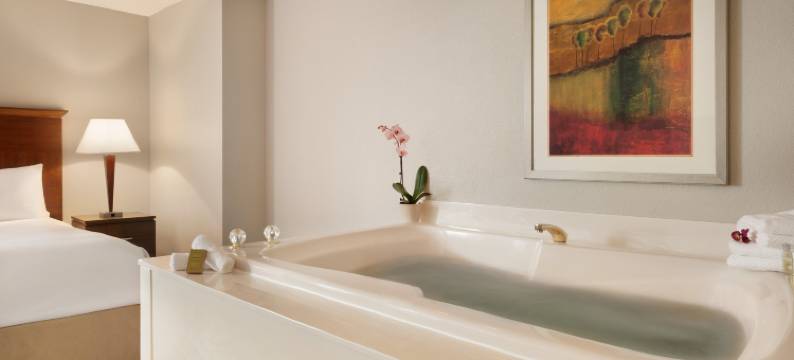 明尼阿波利斯公园广场希尔顿逸林酒店(DoubleTree by Hilton Minneapolis-Park Place)图片